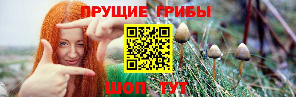 Галлюциногенные грибы GOLDEN TEACHER  Вход с VPN  Советская Гавань 